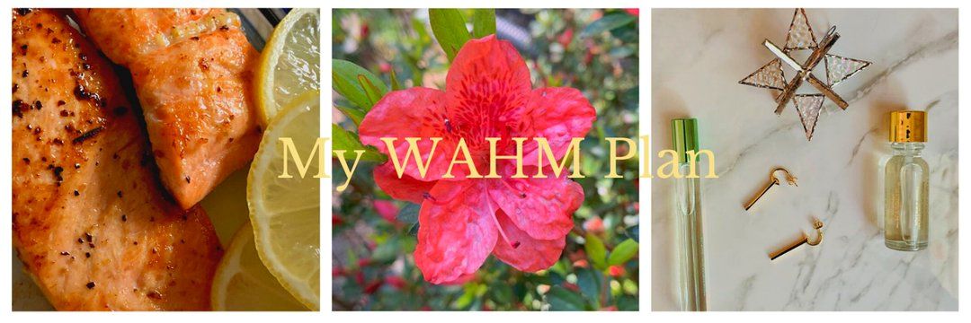 My WAHM Plan banner