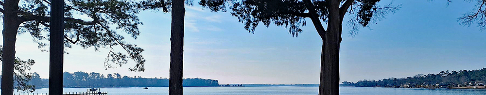 What Remains (At the End of the World) banner