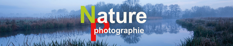 PHOTOGRAPHIE et NATURE banner
