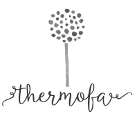 ThermofanBlog  icon