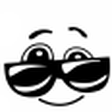 vijti icon