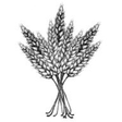 With The Grains icon