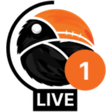 BIG Portal icon