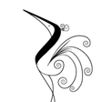 passagerb... icon