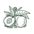 The Peach... icon