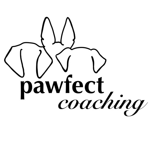 www.pawfect-coaching.de Blog Feed icon