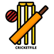 cricketfile icon