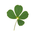 girlscouts icon