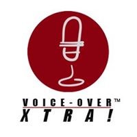 VoiceOver... icon