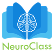 Neuro-class icon