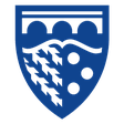 Brandfinance icon