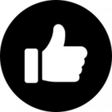 Roger Ebert icon