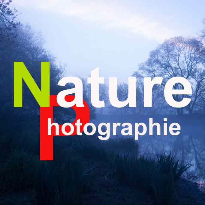 PHOTOGRAPHIE et NATURE icon