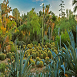 World of Succulents icon