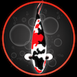 QN Home -... icon
