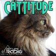 Cattitude... icon