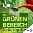 Garten: Alles Möhre, oder was?! icon