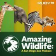 Amazing Wildlife: A San Diego Zoo Podcast 1 icon