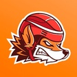 Fox Hockey icon