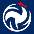 Federation Francaise De Volley-Ball icon
