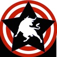 SURFING VISIONS icon