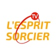 L'Esprit Sorcier TV icon