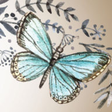 The Transformed Wife icon