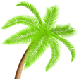Coralsprings icon
