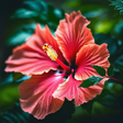 Hawaii Magazine icon