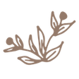 BREPURPOSED icon