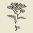 The Natural Beauty Workshop icon