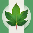 Detoxtrading icon