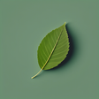 Feed Me P... icon