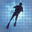 Wetpixel.com icon