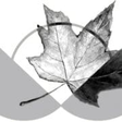 CCPA icon