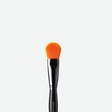 Camerareadycosmeticsblogsnews icon