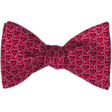 FundraisingCoach.com icon