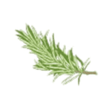 Give Recipe icon
