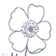 Blog - Flourish Flower Farm icon