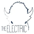 The Electric icon