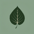 Uncornered Market icon