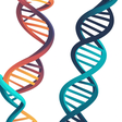 Ewan's Blog: Bioinformatician at large icon