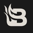 Blaze Media icon