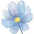 A Blossom... icon