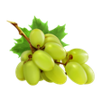 The Wine Cellar Insider icon