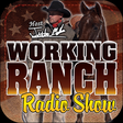 Working R... icon