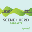 Scene + H... icon