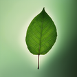 Zemefreshblogshairfall icon