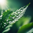 GoCleanse icon