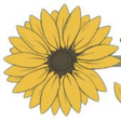 the Imperfectly Happy home icon